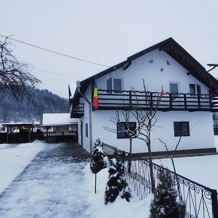 Casa Roxana Vila Viseu de Mijloc Exterior foto
