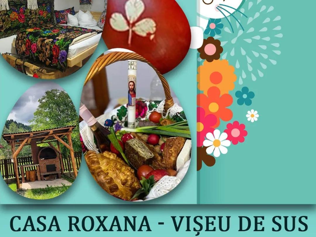 Casa Roxana Vila Viseu de Mijloc Exterior foto