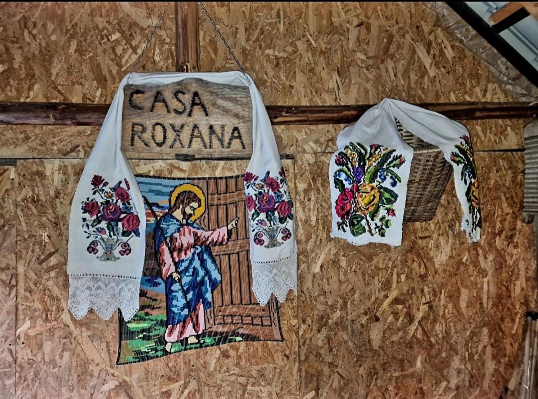 Casa Roxana Vila Viseu de Mijloc Exterior foto